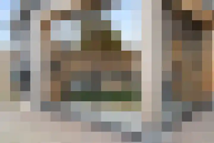 Prins Bernhardlaan 28 Amerongen thumbnail 36