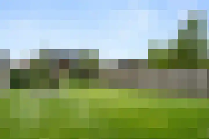Prins Bernhardlaan 28 Amerongen thumbnail 39