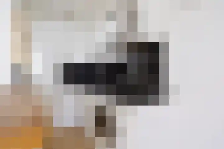 Prins Bernhardlaan 28 Bergen op Zoom thumbnail 8