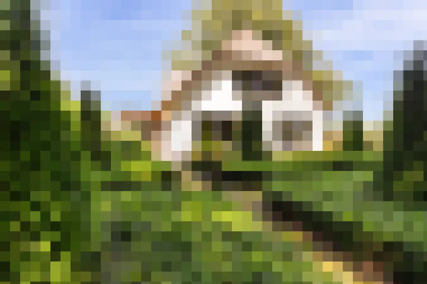 Prins Bernhardlaan 28 Vaassen thumbnail 10