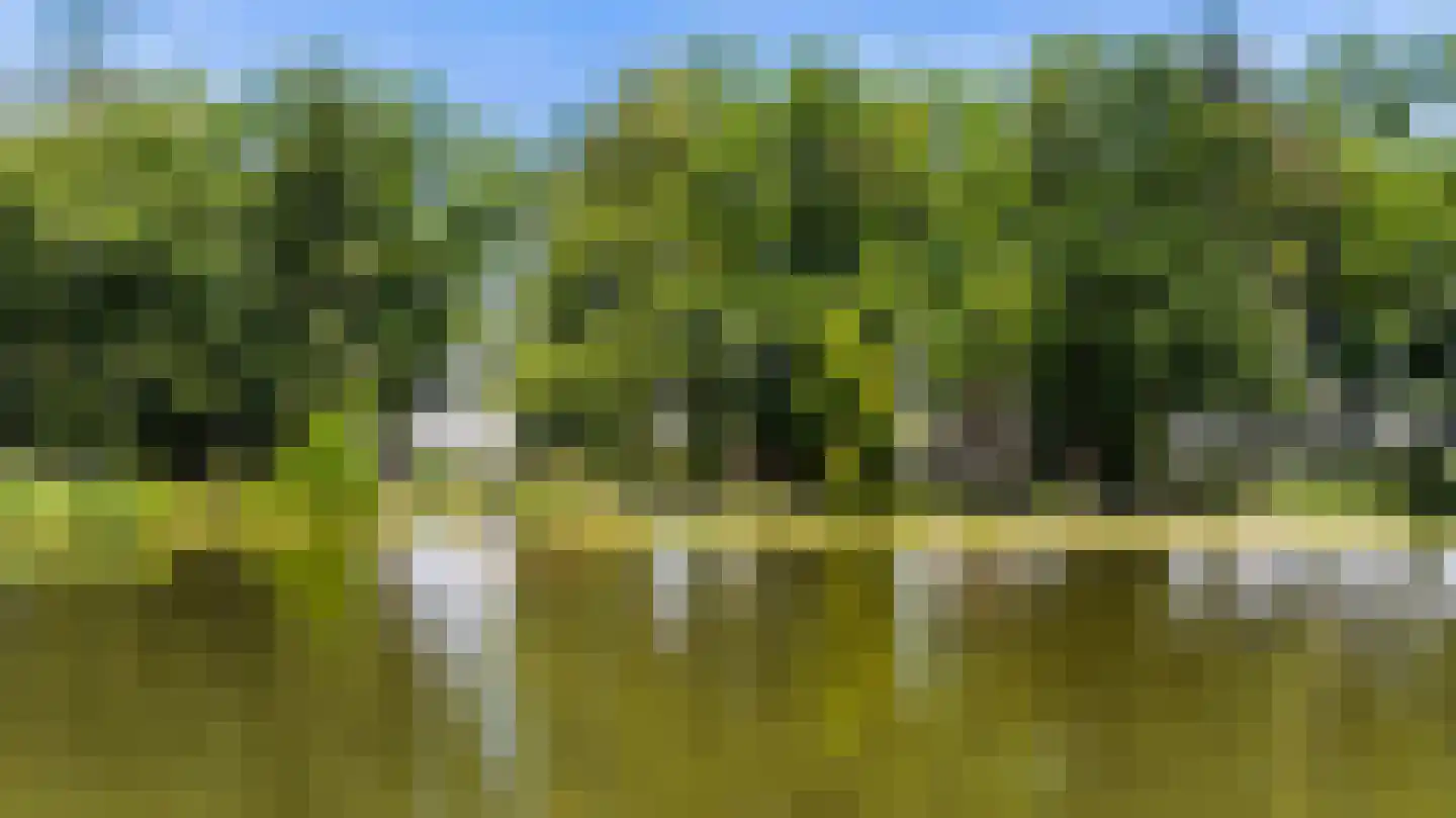Prins Bernhardlaan 28 Vaassen thumbnail 102