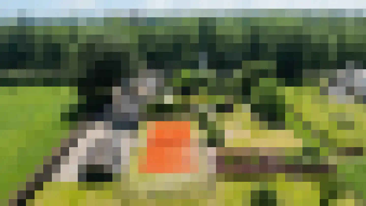 Prins Bernhardlaan 28 Vaassen thumbnail 106