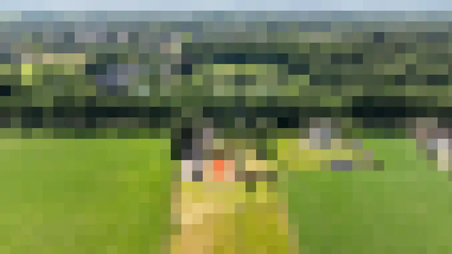 Prins Bernhardlaan 28 Vaassen thumbnail 107