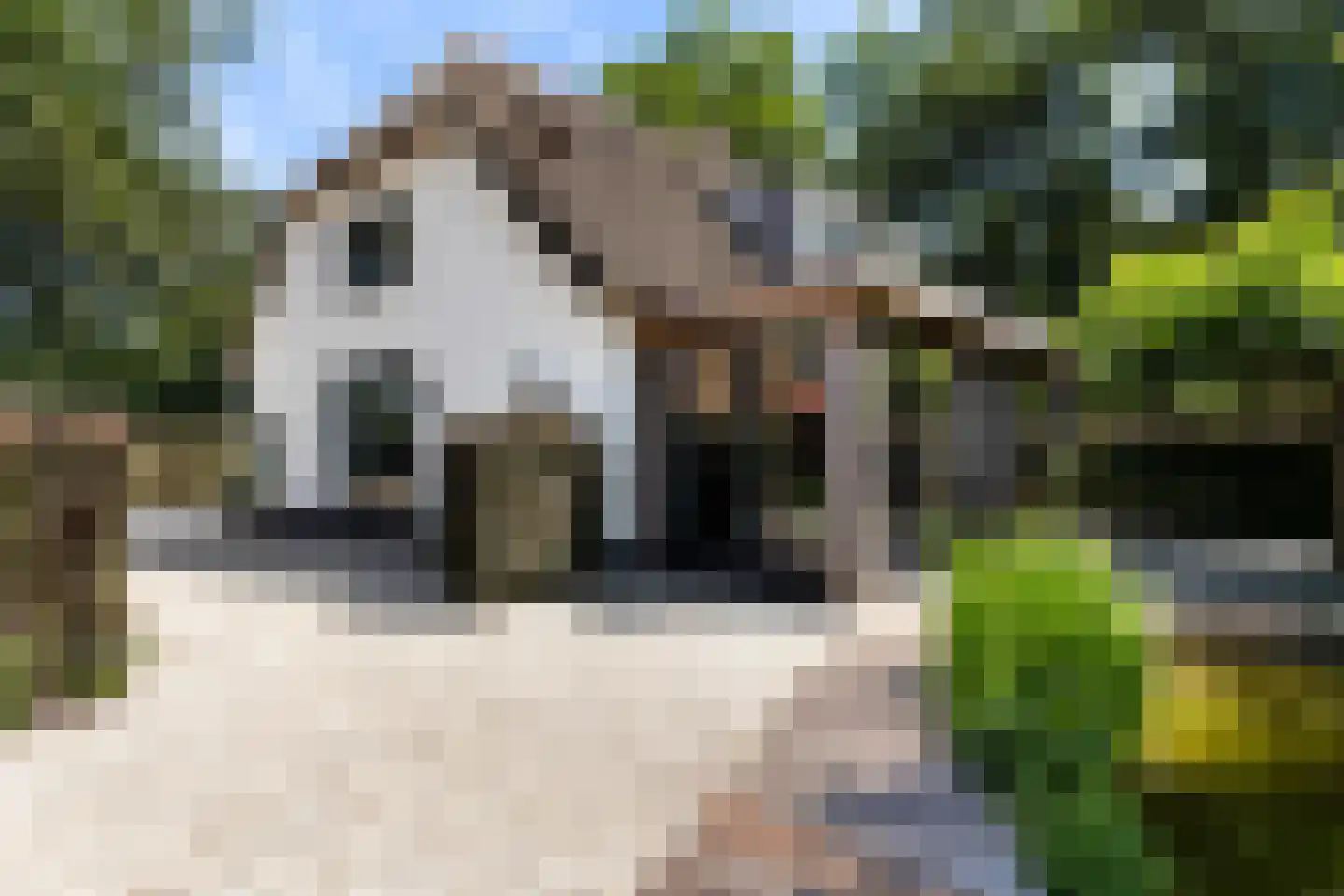 Prins Bernhardlaan 28 Vaassen thumbnail 40