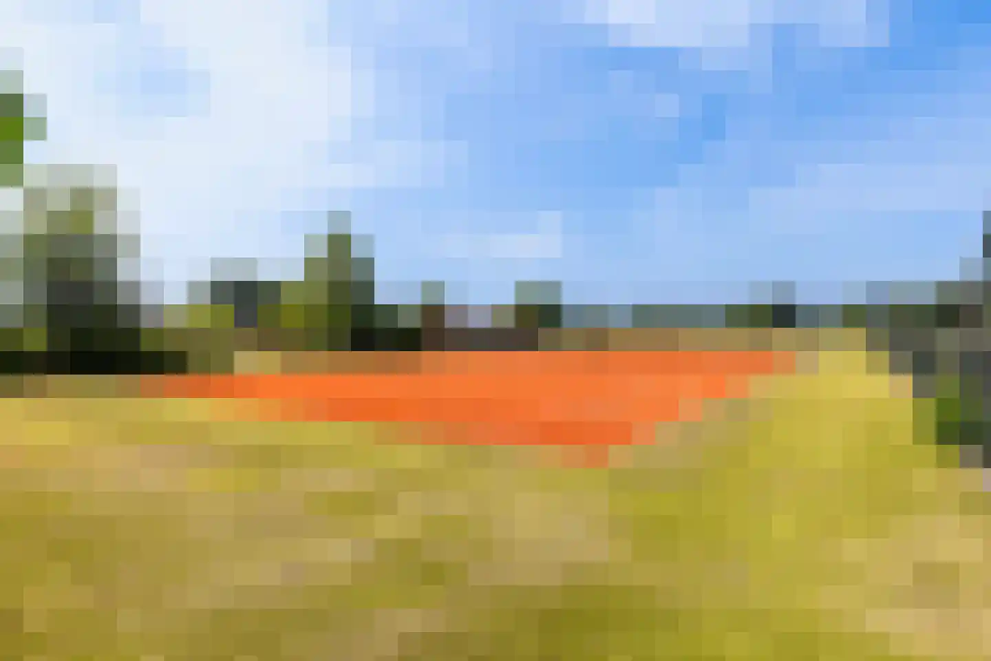Prins Bernhardlaan 28 Vaassen thumbnail 6
