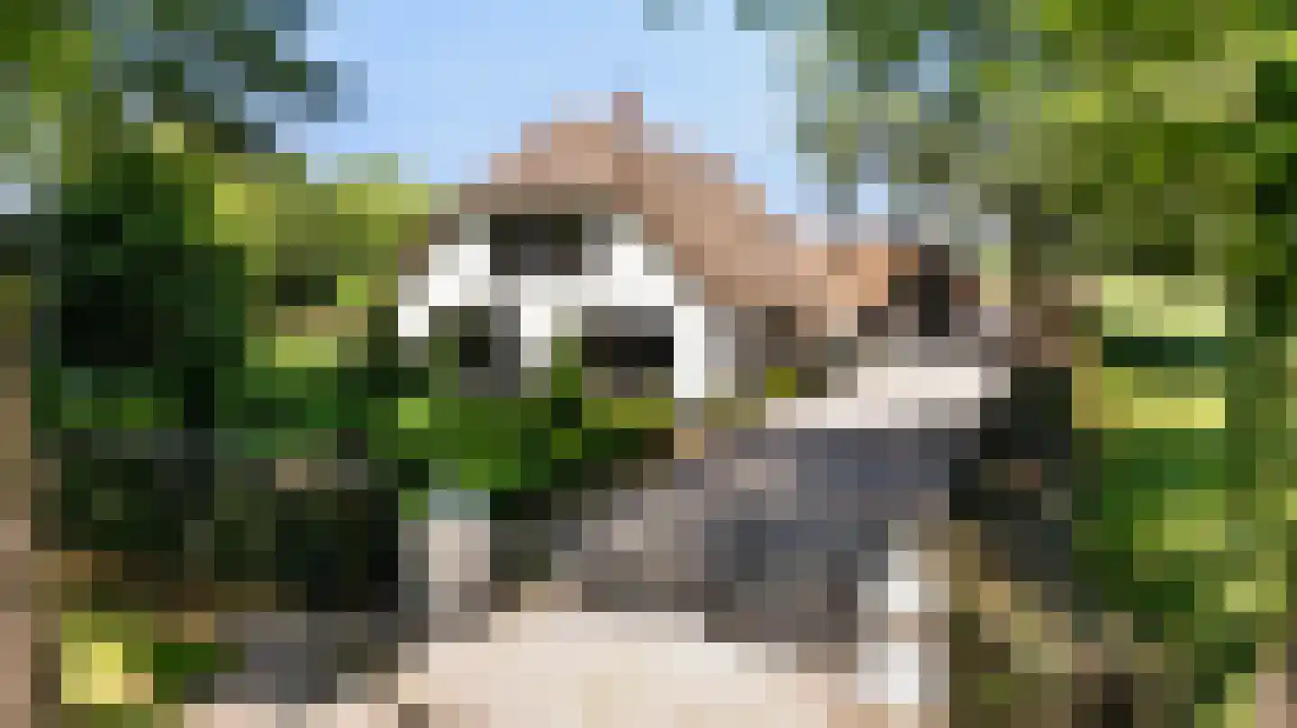 Prins Bernhardlaan 28 Vaassen thumbnail 7