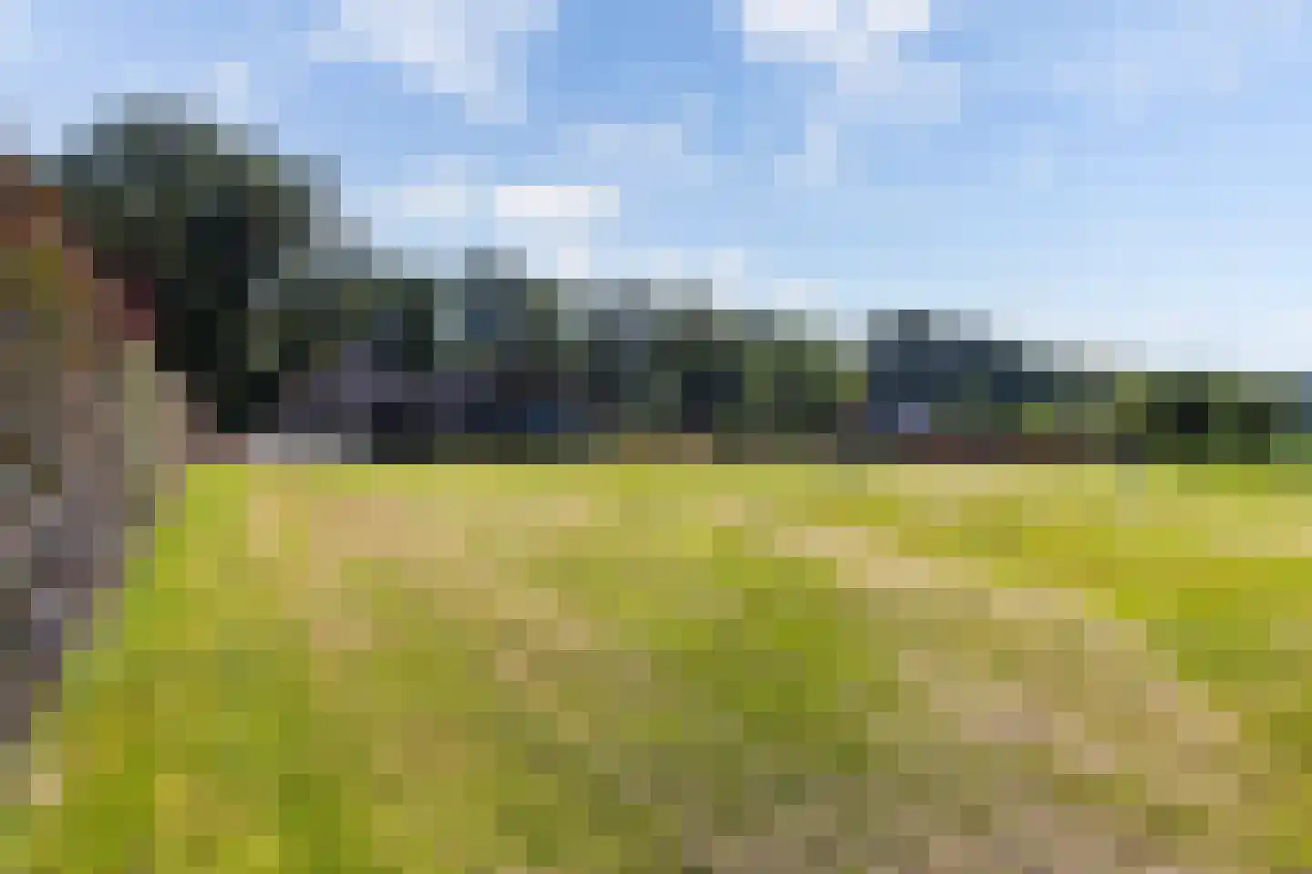 Prins Bernhardlaan 28 Vaassen thumbnail 98