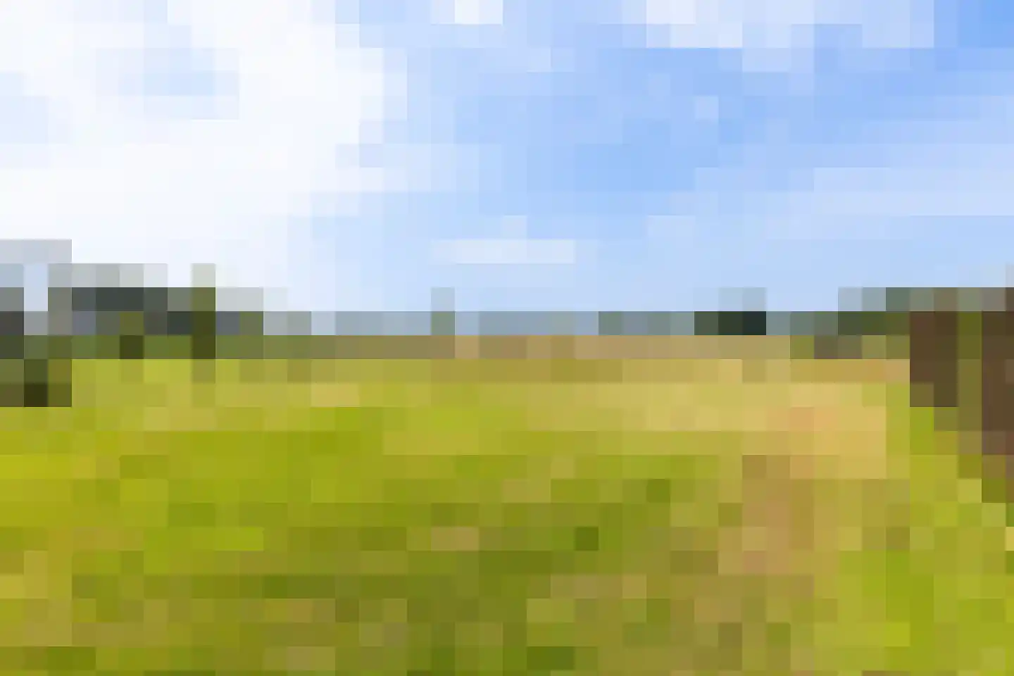 Prins Bernhardlaan 28 Vaassen thumbnail 99
