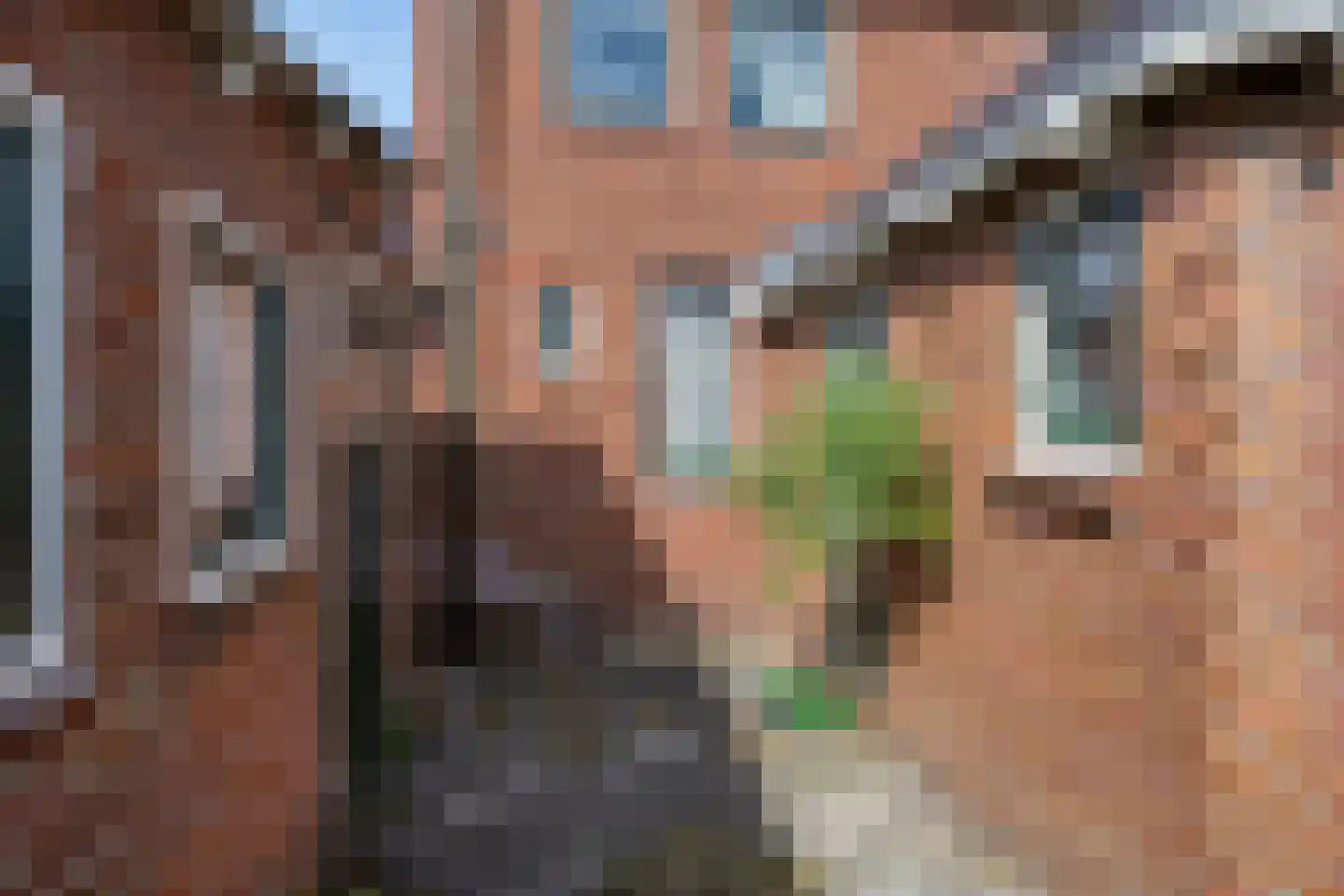 Prins Bernhardlaan 28 Veendam thumbnail 39