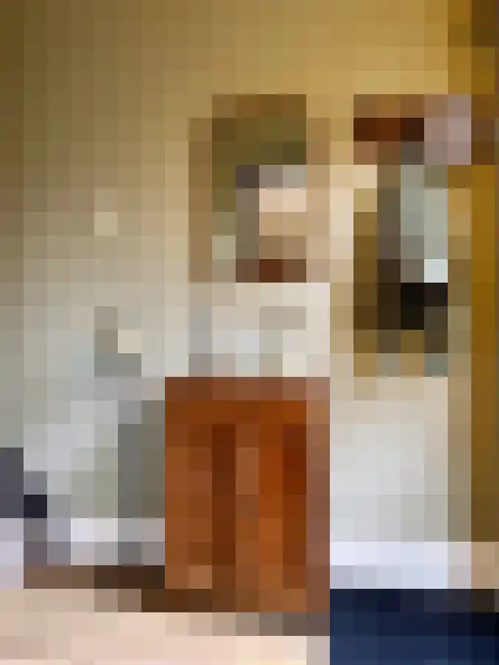 Prins Bernhardlaan 29 Amerongen thumbnail 11