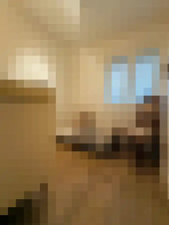 Prins Bernhardlaan 29 Amerongen thumbnail 15
