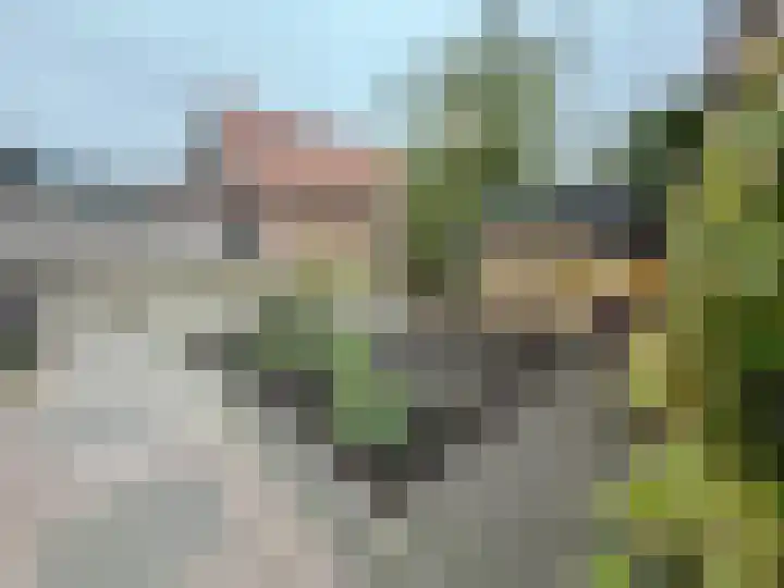 Prins Bernhardlaan 29 Amerongen thumbnail 18