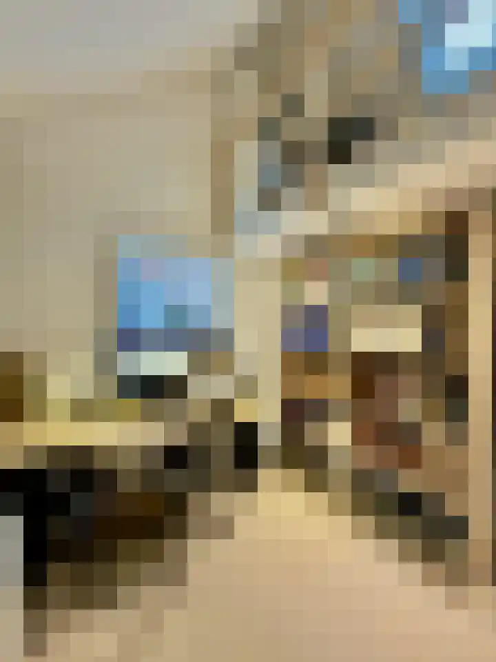 Prins Bernhardlaan 29 Amerongen thumbnail 20