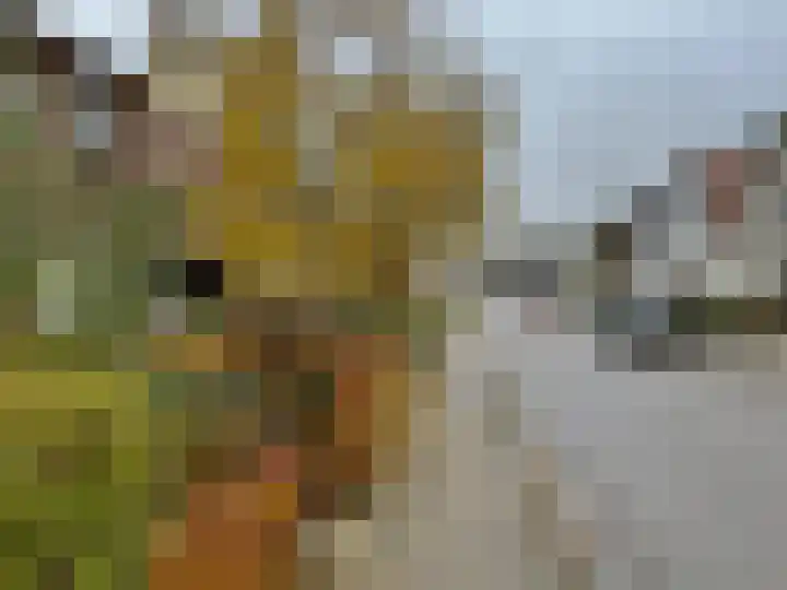 Prins Bernhardlaan 29 Amerongen thumbnail 23