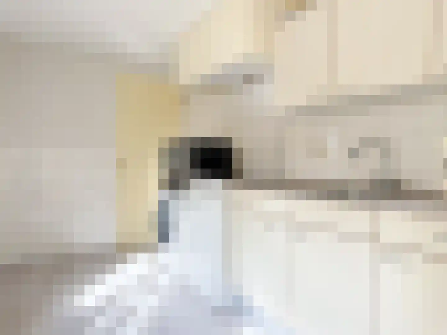 Prins Bernhardlaan 3 Amerongen thumbnail 11