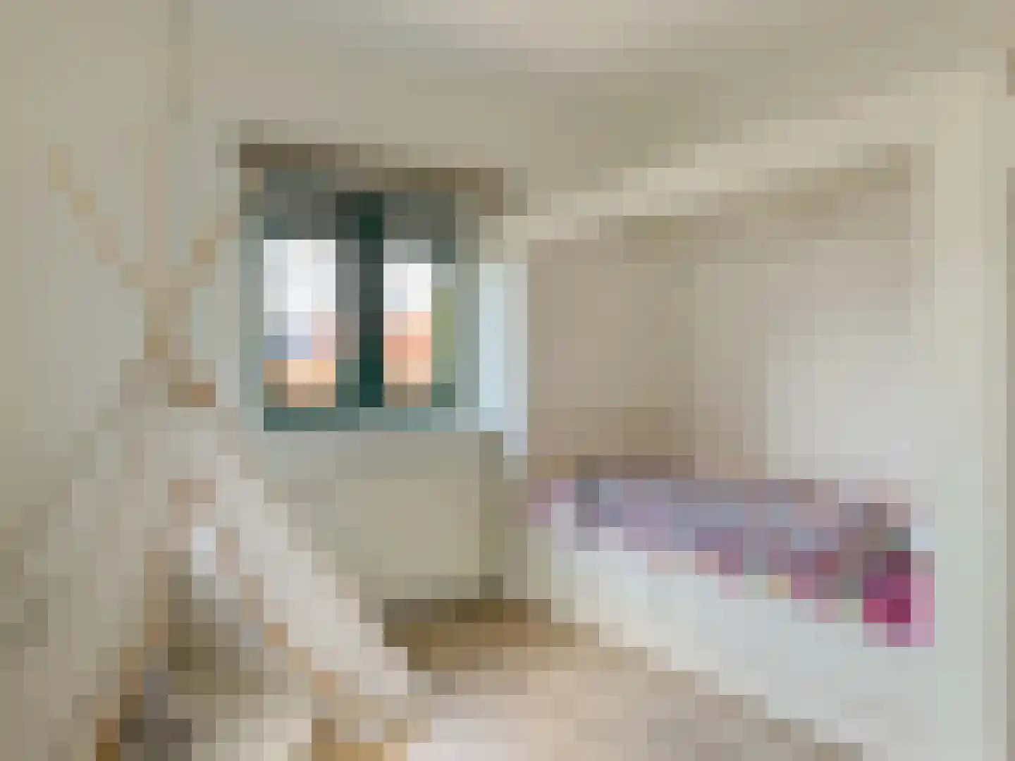 Prins Bernhardlaan 3 Amerongen thumbnail 14