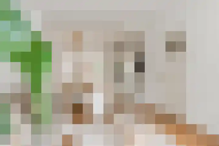 Prins Bernhardlaan 3 Ouderkerk aan de Amstel thumbnail 12