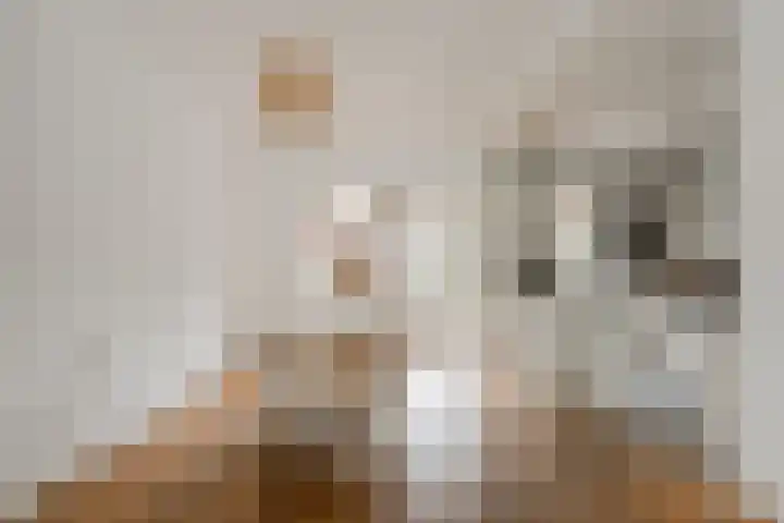 Prins Bernhardlaan 3 Ouderkerk aan de Amstel foto 3