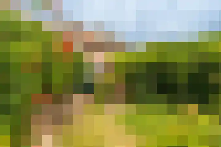 Prins Bernhardlaan 3 Ouderkerk aan de Amstel thumbnail 31