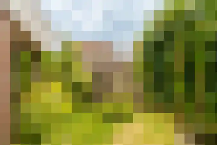 Prins Bernhardlaan 3 Ouderkerk aan de Amstel thumbnail 32