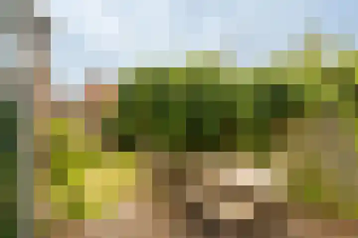 Prins Bernhardlaan 3 Ouderkerk aan de Amstel thumbnail 33