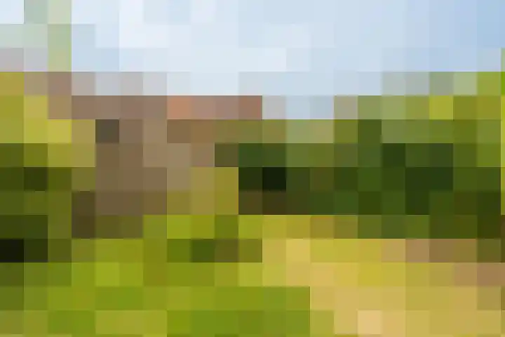 Prins Bernhardlaan 3 Ouderkerk aan de Amstel thumbnail 34