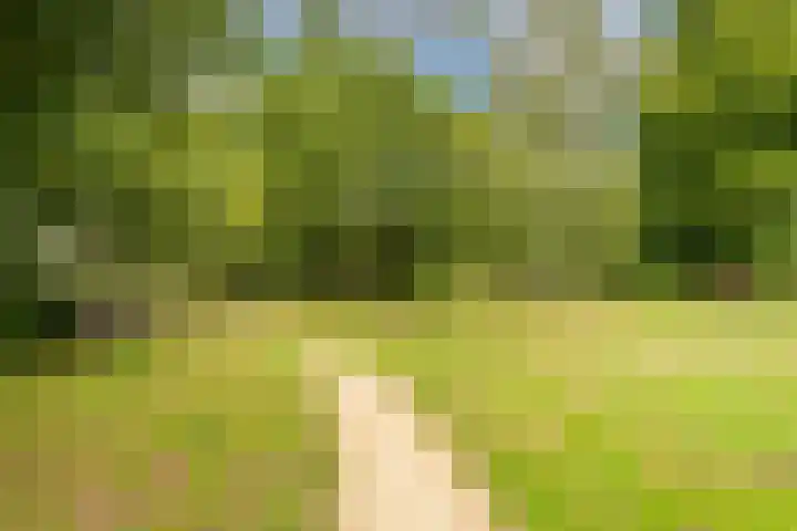 Prins Bernhardlaan 3 Ouderkerk aan de Amstel thumbnail 56