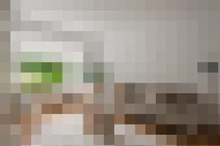 Prins Bernhardlaan 3 Ouderkerk aan de Amstel thumbnail 8