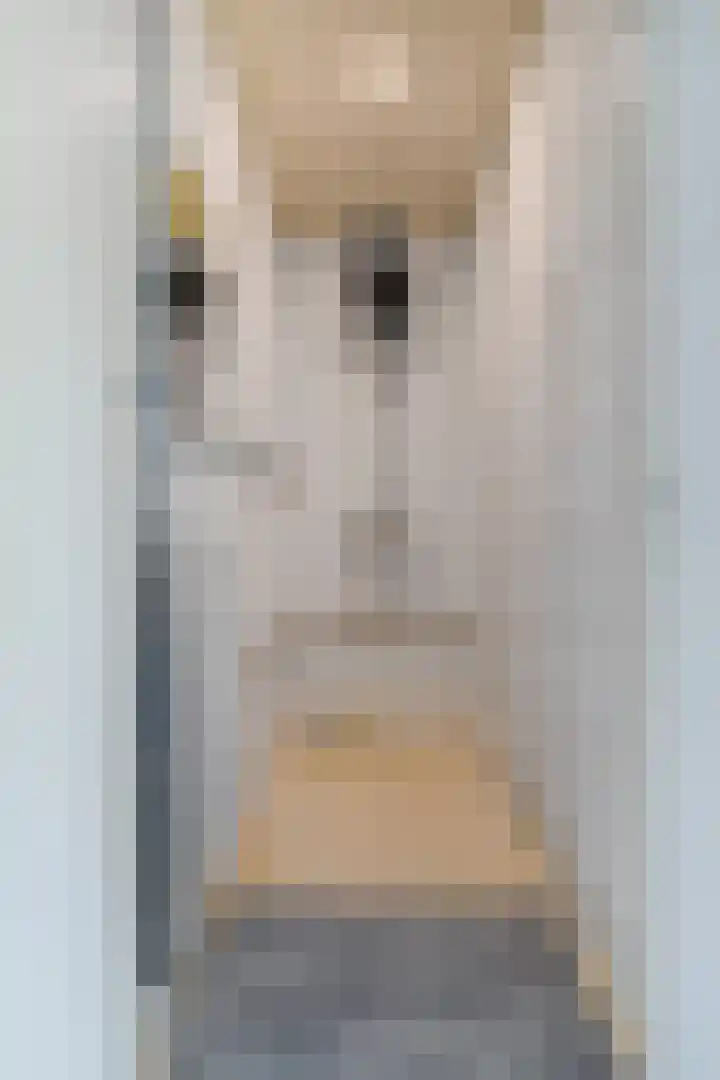 Prins Bernhardlaan 3 Paterswolde thumbnail 25