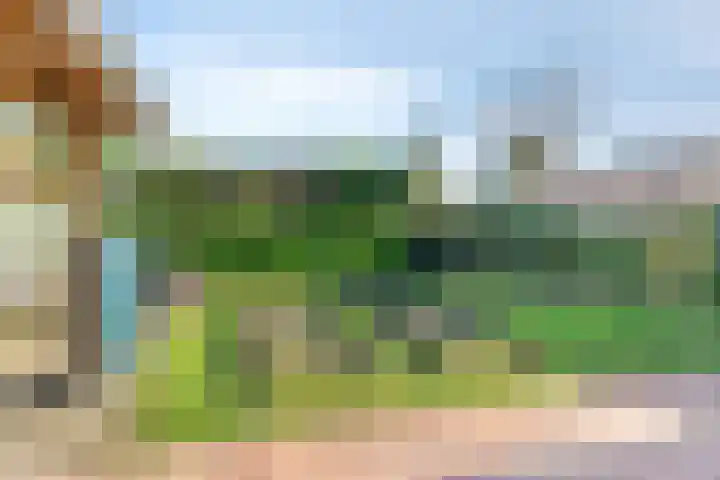 Prins Bernhardlaan 3 Paterswolde thumbnail 33