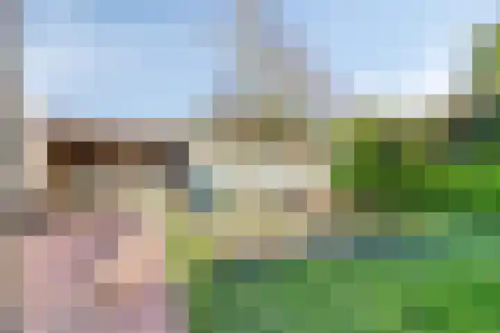 Prins Bernhardlaan 3 Paterswolde thumbnail 34