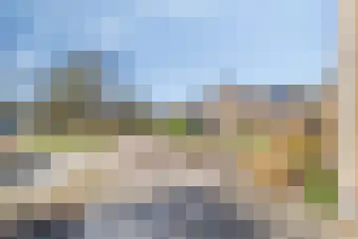 Prins Bernhardlaan 3 Paterswolde thumbnail 39