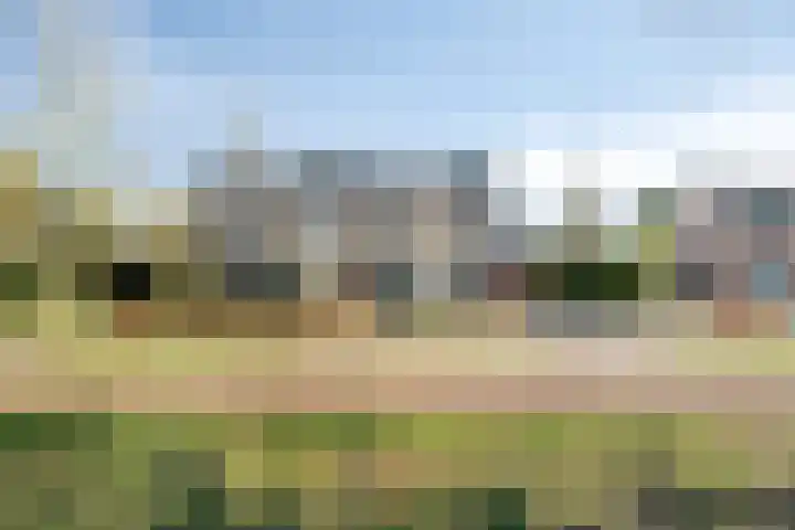 Prins Bernhardlaan 3 Paterswolde thumbnail 4