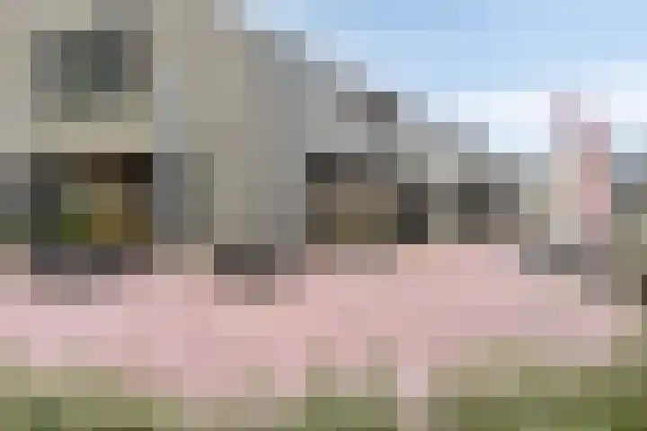 Prins Bernhardlaan 3 Paterswolde thumbnail 42
