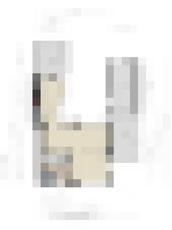 Prins Bernhardlaan 3 Paterswolde thumbnail 43