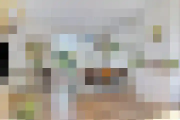 Prins Bernhardlaan 3 Paterswolde thumbnail 9