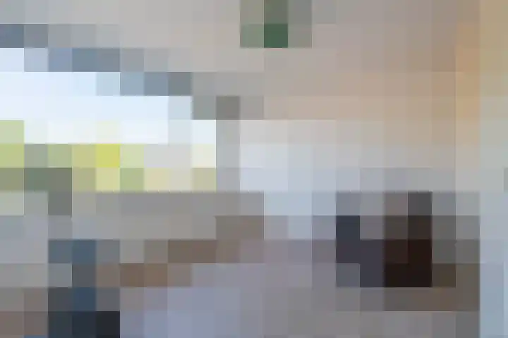Prins Bernhardlaan 3 Rijnsburg thumbnail 17