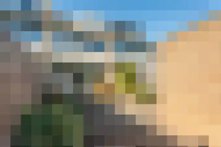 Prins Bernhardlaan 3 Rijnsburg thumbnail 23