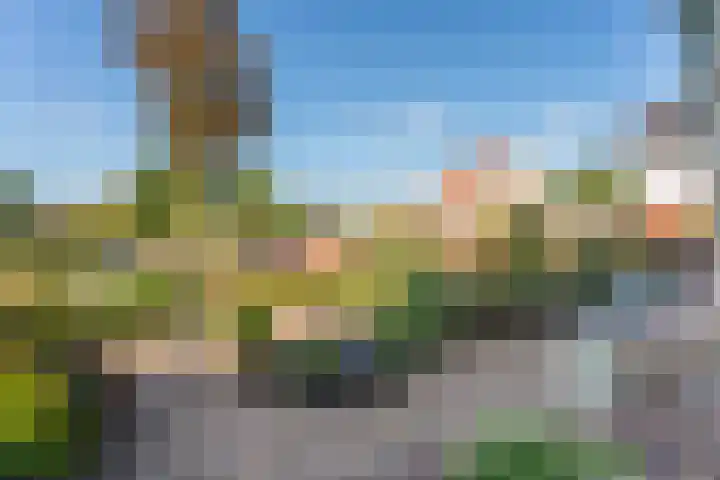 Prins Bernhardlaan 3 Rijnsburg thumbnail 26