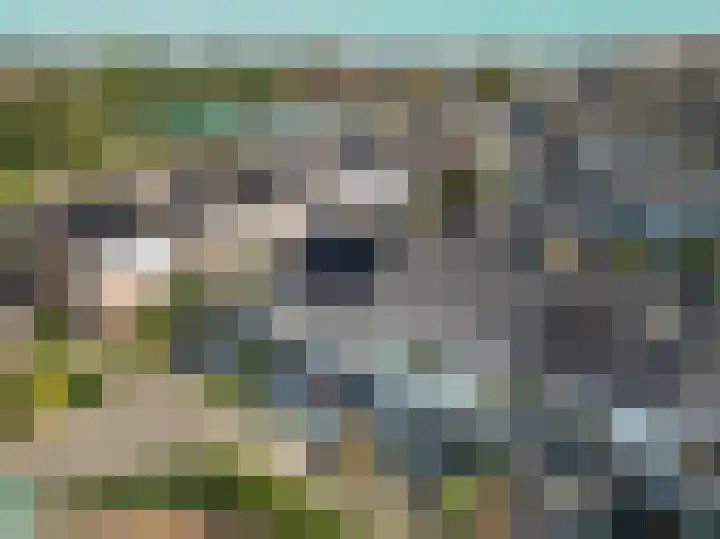 Prins Bernhardlaan 3 Rijnsburg thumbnail 31