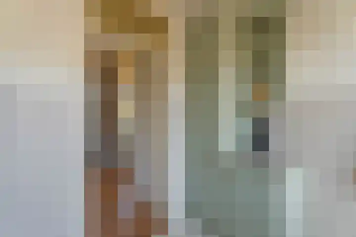 Prins Bernhardlaan 3 Rijnsburg thumbnail 9