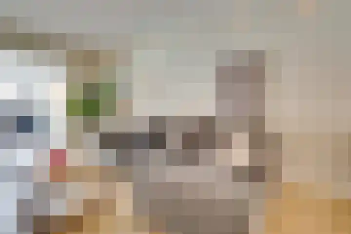 Prins Bernhardlaan 3 Utrecht thumbnail 14