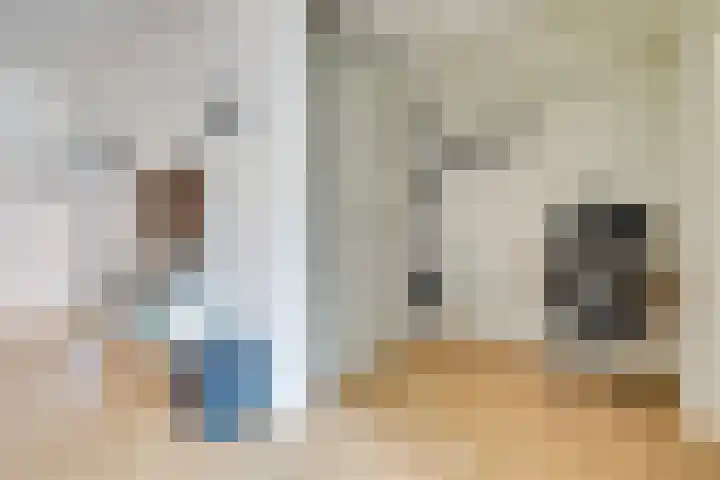 Prins Bernhardlaan 3 Utrecht thumbnail 17