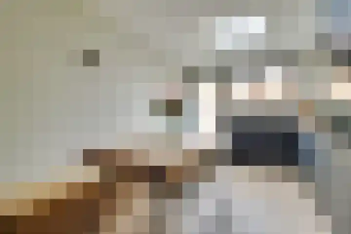 Prins Bernhardlaan 3 Utrecht thumbnail 24