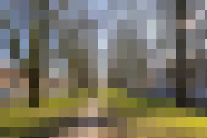 Prins Bernhardlaan 3 Utrecht thumbnail 29