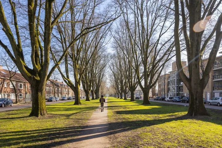 Prins Bernhardlaan 3 Utrecht thumbnail 29