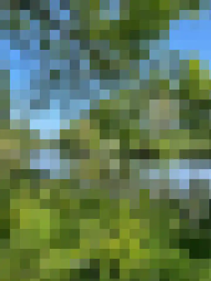 Prins Bernhardlaan 3 Utrecht thumbnail 32