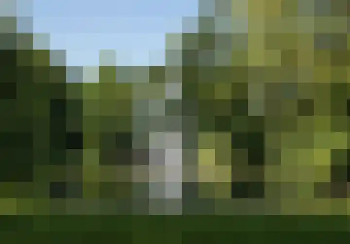Prins Bernhardlaan 3 Utrecht thumbnail 34