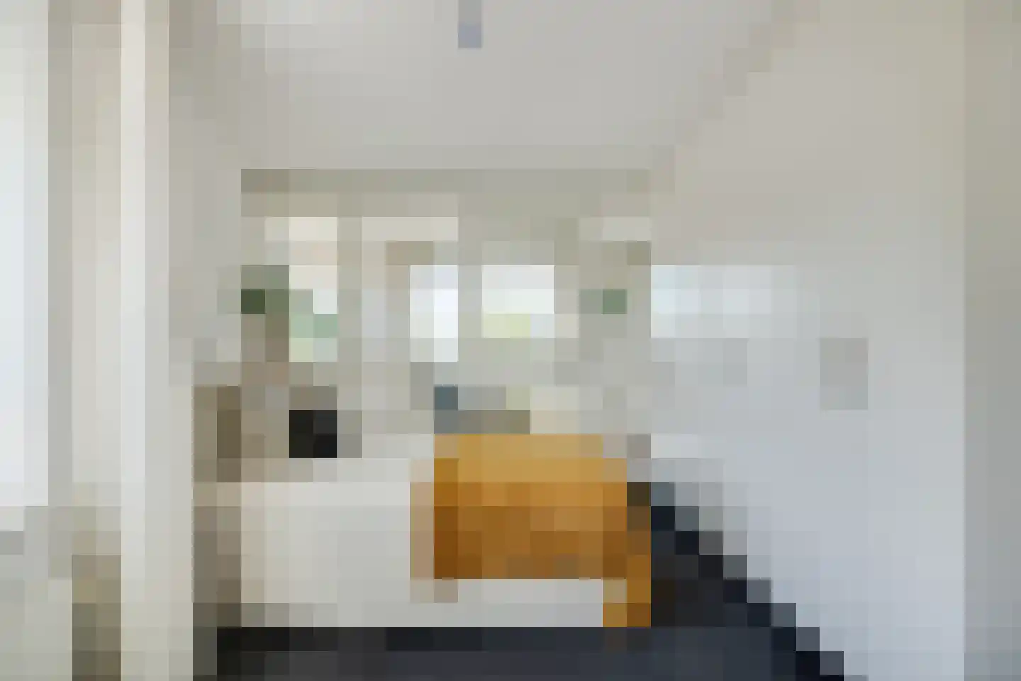 Prins Bernhardlaan 3 Vught thumbnail 18