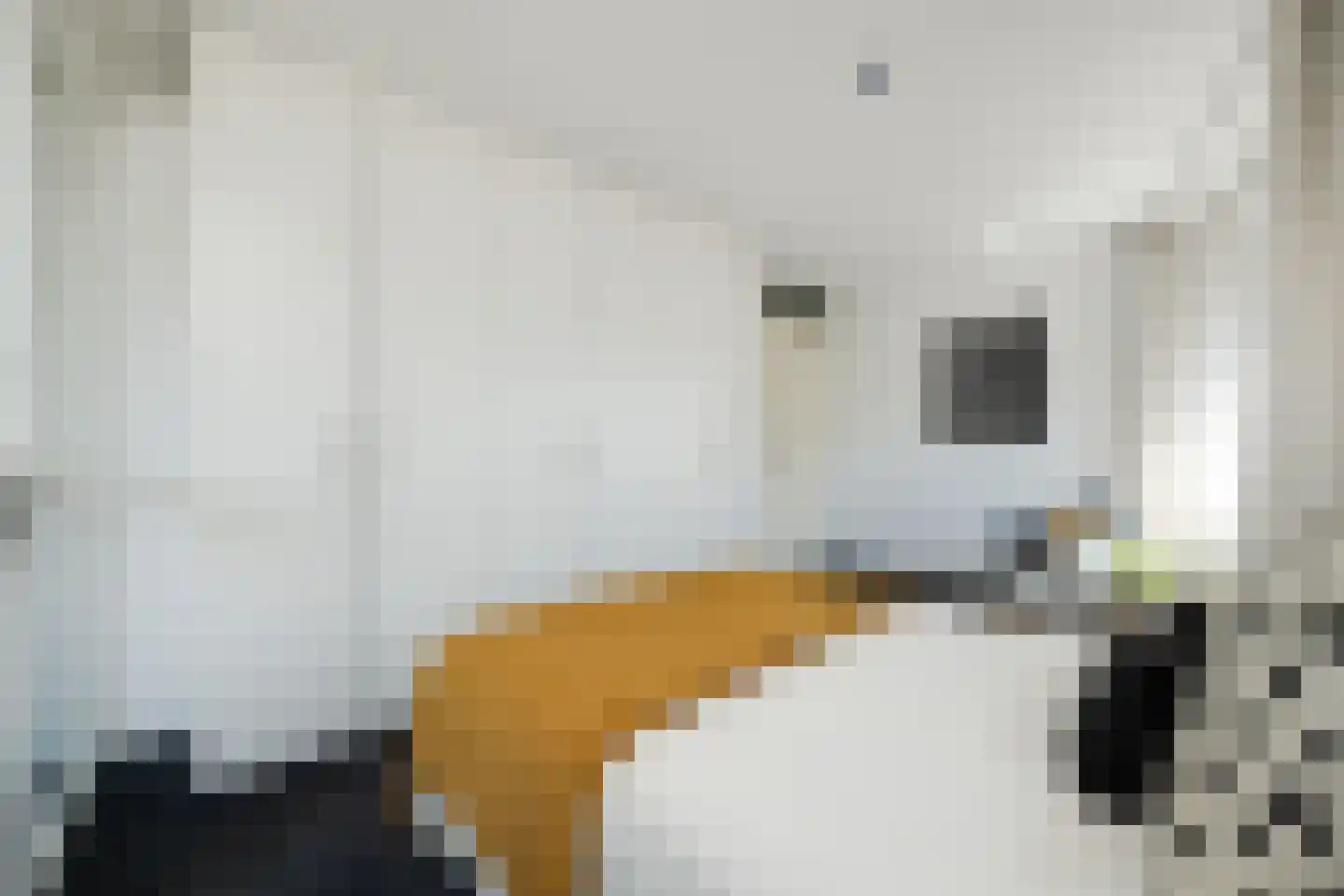Prins Bernhardlaan 3 Vught thumbnail 20